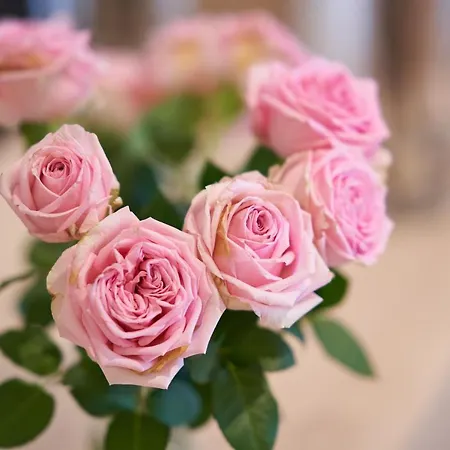 מלון Marco Polo מונסטר