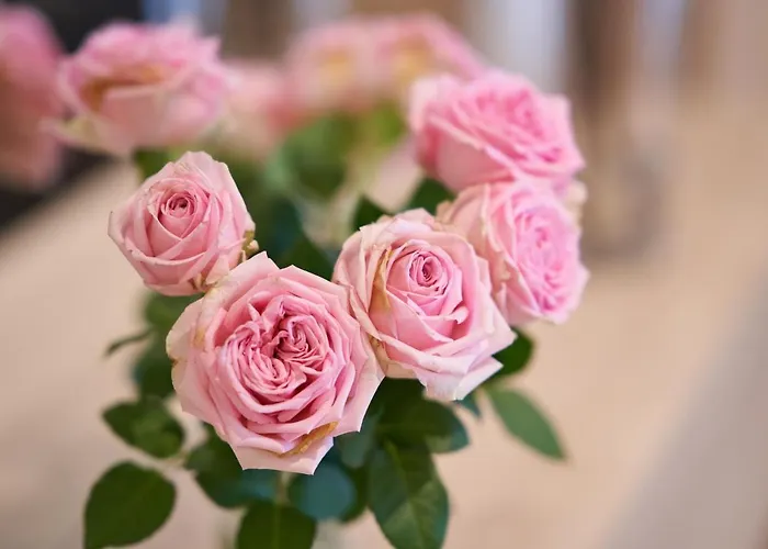 Hotel Marco Polo Münster